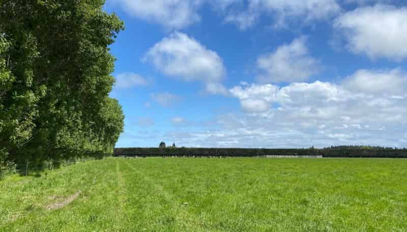  Timaru Temuka Highway, Timaru Central