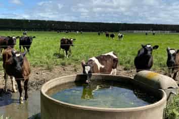  Timaru Temuka Highway, Timaru Central