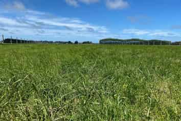  Timaru Temuka Highway, Timaru Central