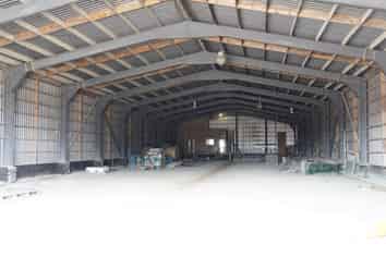 Various options in Waverley 