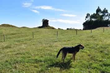 900 Oturoa Road, Hamurana