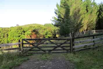 460 Jones Road, Dargaville Surrounds