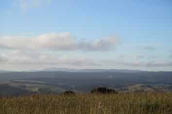 460 Jones Road, Dargaville Surrounds