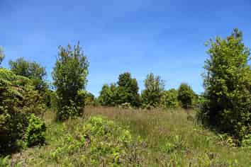 460 Jones Road, Dargaville Surrounds