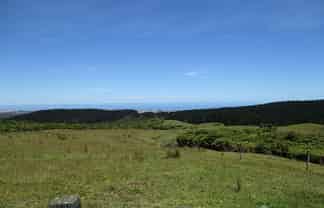 460 Jones Road, Dargaville Surrounds