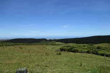 460 Jones Road, Dargaville Surrounds
