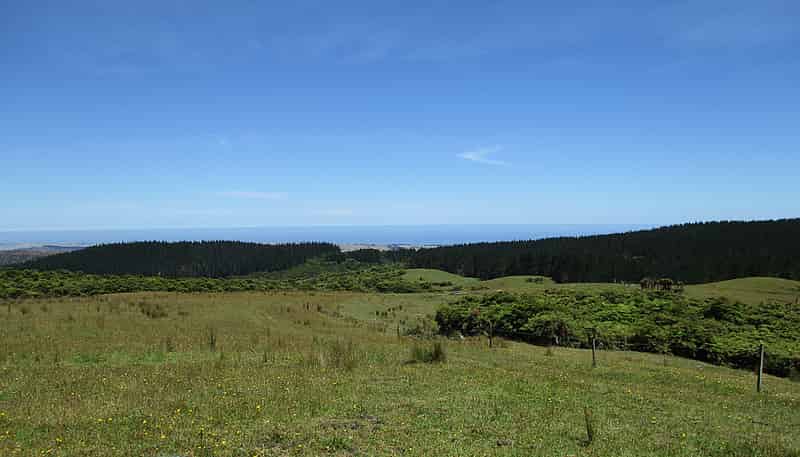 460 Jones Road, Dargaville Surrounds