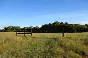 460 Jones Road, Dargaville Surrounds
