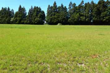 Lot 2 Rugby Road, Inglewood