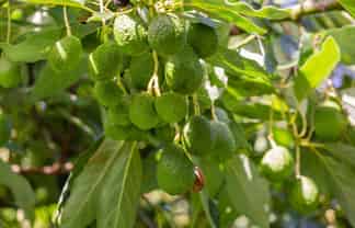 undefined - Address withheld