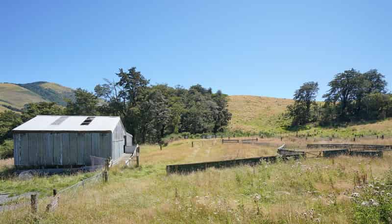 Site 5 - 7 Glentui Bush Road, 