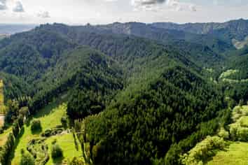  Tangahoe Valley Forest, Hawera