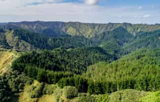  Tangahoe Valley Forest, Hawera