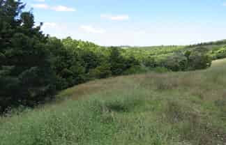 Lot 1/1063 Pungaere Road, Kerikeri