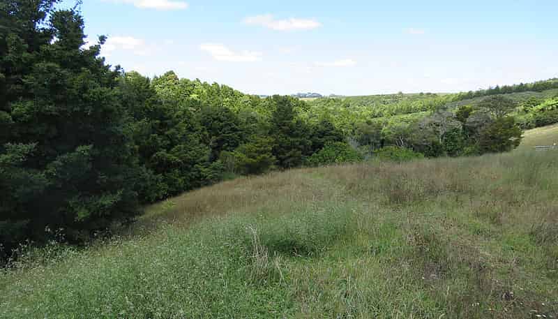 Lot 1/1063 Pungaere Road, Kerikeri