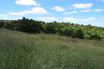 Lot 1/1063 Pungaere Road, Kerikeri