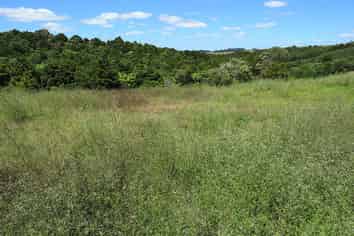 Lot 1/1063 Pungaere Road, Kerikeri