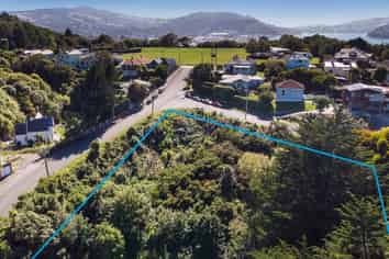 61 Walter Street, Mornington