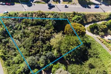 61 Walter Street, Mornington