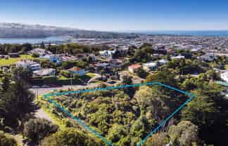 61 Walter Street, Mornington