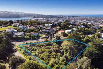 61 Walter Street, Mornington