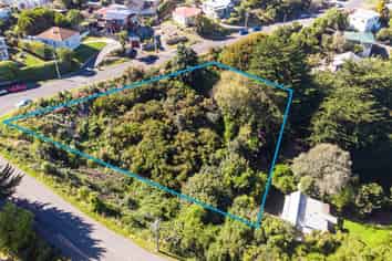 61 Walter Street, Mornington