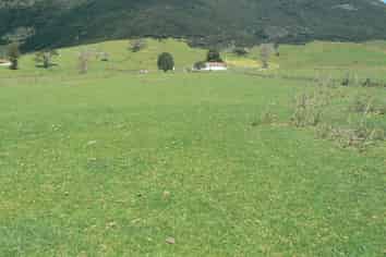 00 Waimamaku Beach Road, Omapere