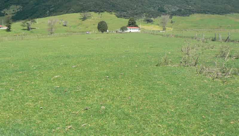 00 Waimamaku Beach Road, Omapere