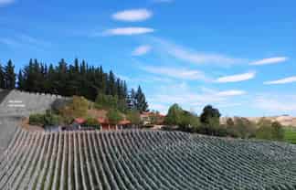 367 Brookby Road, Blenheim Central