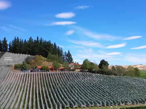 367 Brookby Road, Blenheim Central