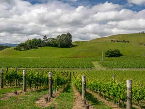 367 Brookby Road, Blenheim Central