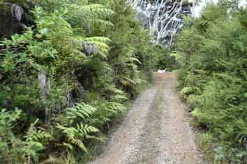 Lot 3 Duders Bay, Kawau Island