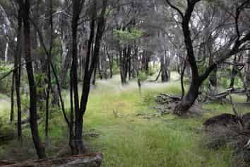 Lot 3 Duders Bay, Kawau Island