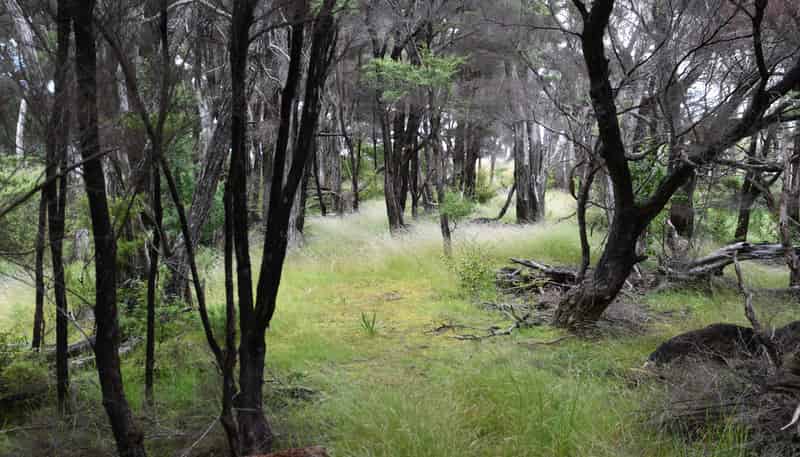 Lot 3 Duders Bay, Kawau Island