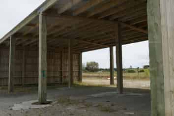 Brilliant opportunity