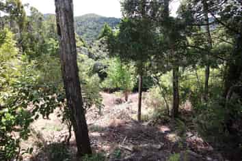 70D School Road, Paihia