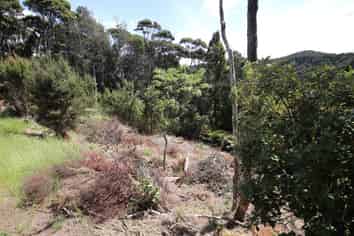 70D School Road, Paihia