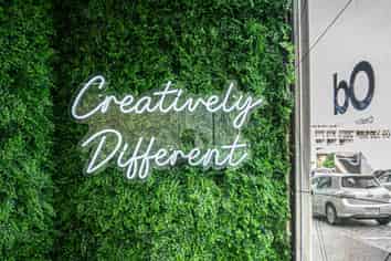 VIBRANT VINEGAR LANE