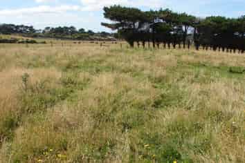 129 Clark Road, Bluff