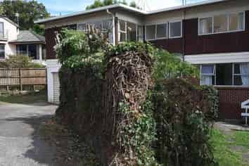 49B Kohimarama Road, Kohimarama