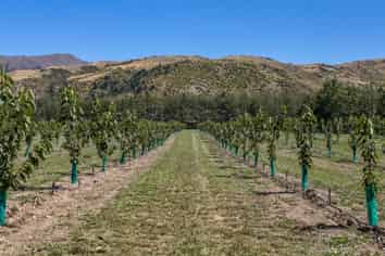 99 Ord Road, Cromwell