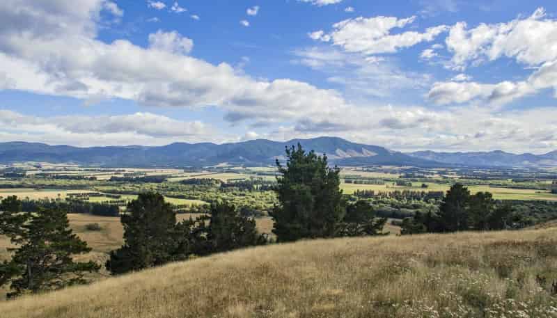 93 Campions Road, Cust