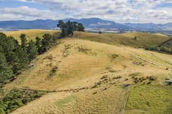 93 Campions Road, Cust