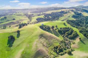 87 Ruebe Road, Buckland