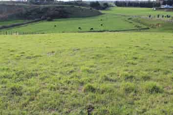 36 Glade Park Lane, Shannon