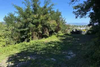  Sievwright Lane, Whataupoko