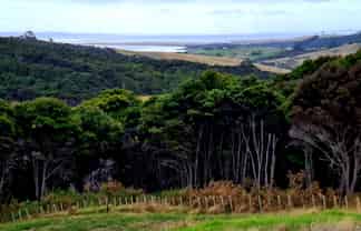 Morepork L West Road, Kaukapakapa