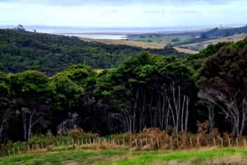 Morepork L West Road, Kaukapakapa