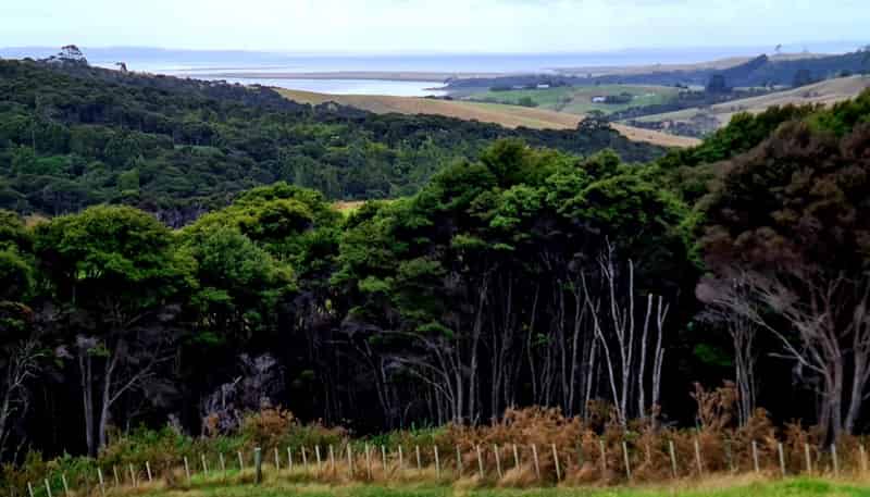Morepork L West Road, Kaukapakapa