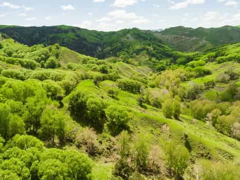  Kanakanaia Road, Te Karaka